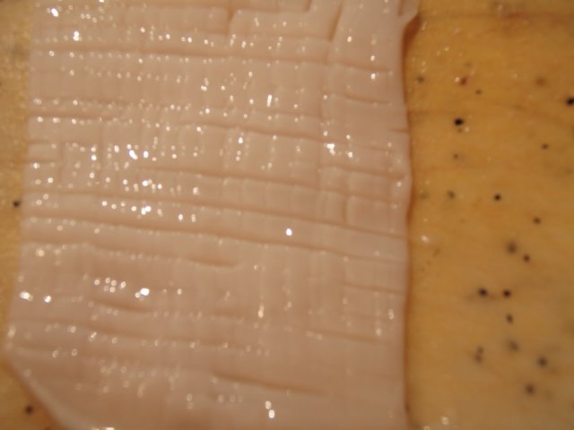 p1040698.jpg