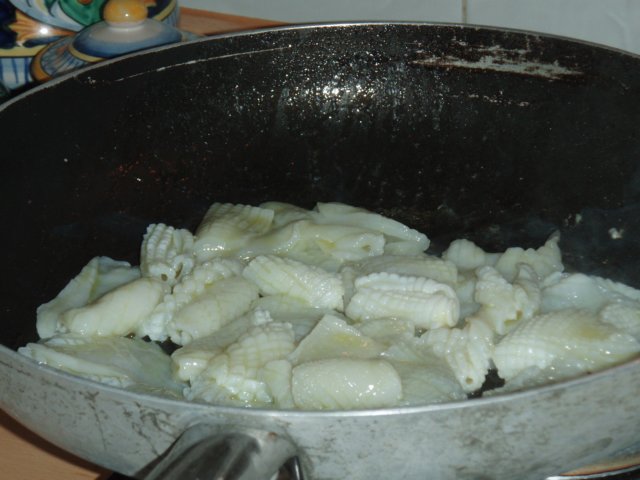 p1040726.jpg