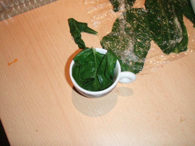 pc240626.jpg