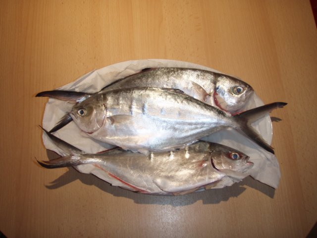 pescestella.jpg