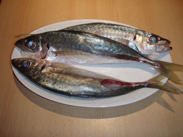 sughero.jpg